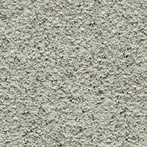 BK-8004